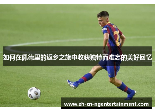 如何在佩德里的返乡之旅中收获独特而难忘的美好回忆