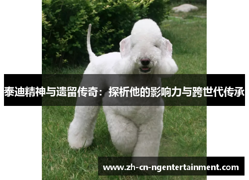 泰迪精神与遗留传奇:探析他的影响力与跨世代传承