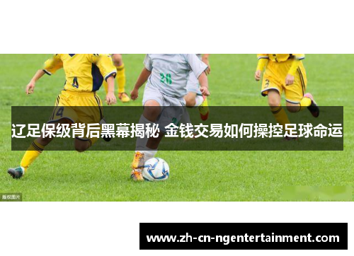 辽足保级背后黑幕揭秘 金钱交易如何操控足球命运