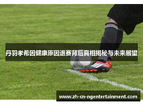 丹羽孝希因健康原因退赛背后真相揭秘与未来展望