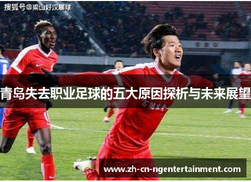 青岛失去职业足球的五大原因探析与未来展望