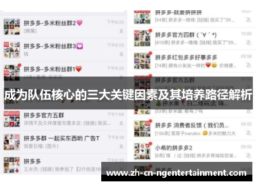 成为队伍核心的三大关键因素及其培养路径解析