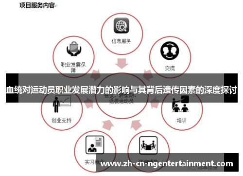 血统对运动员职业发展潜力的影响与其背后遗传因素的深度探讨