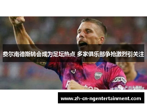 费尔南德斯转会成为足坛热点 多家俱乐部争抢激烈引关注 费尔南德斯转会成为足坛热点 多家俱乐部争抢激烈引关注