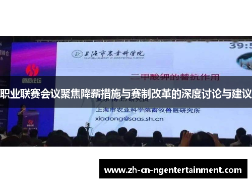 职业联赛会议聚焦降薪措施与赛制改革的深度讨论与建议