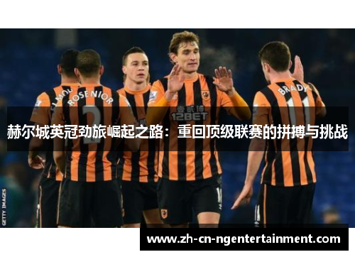 赫尔城英冠劲旅崛起之路：重回顶级联赛的拼搏与挑战